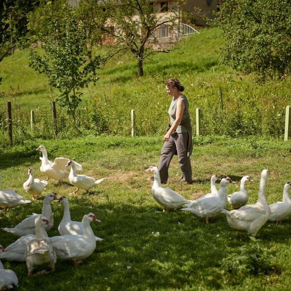 Ferme Auberge du Charapont
