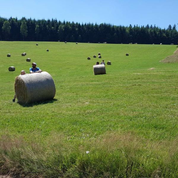 Family Tour : Rundweg der kleinen Prinzen in Salm