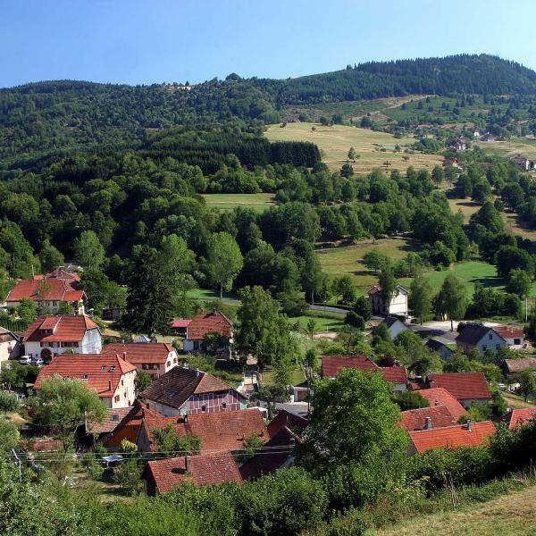 Rundwanderung C03 : Auf den Anhöhen des Steintals