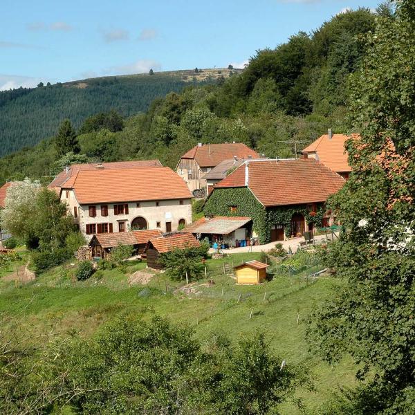 Rundwanderung C01 : Rund um das kleinste Dorf im Elsass