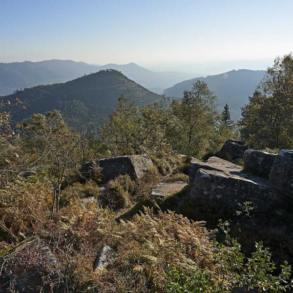 Rundwanderung D02 : Zwischen dem kleinen und grossen Donon