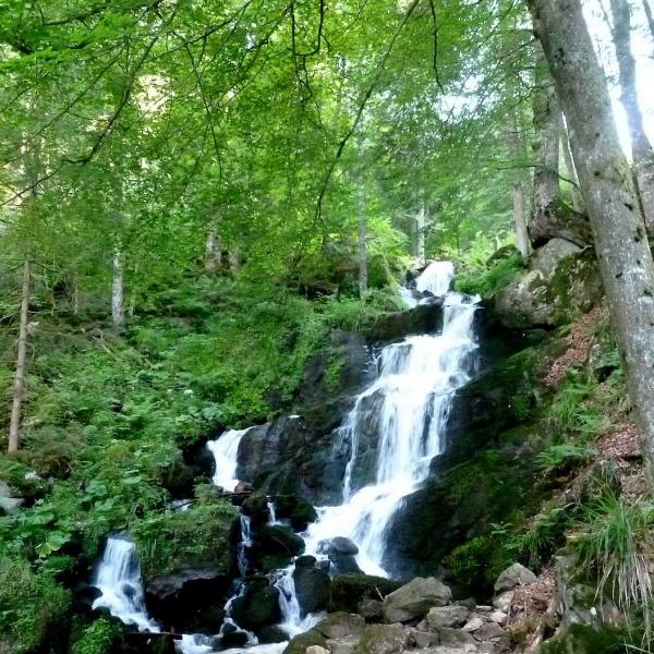 Rundwanderung C10 : Der Wasserfall der Serva