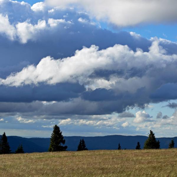 Rundwanderung C08 : Auf der Anhöhe von Natzwiller