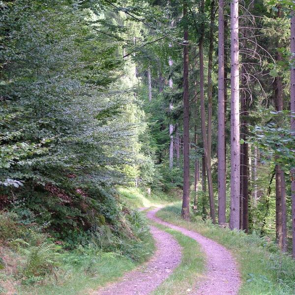 Rundwanderung B08 :