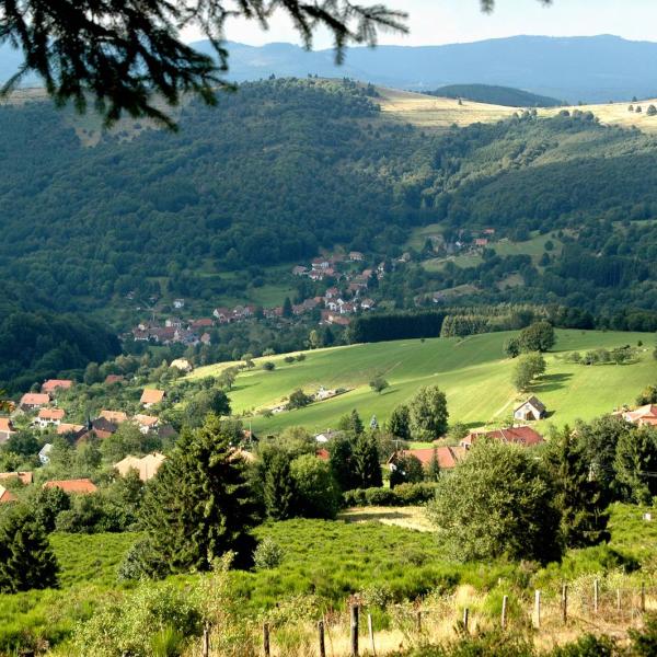 Rundwanderung CDF01 : Die ehemalige Herrschaft Stein (