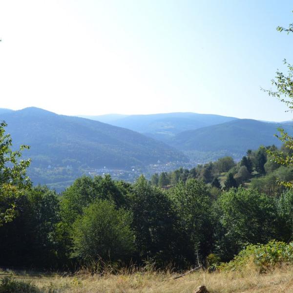 Outdoor Kinderwagen Rundweg C04: von Fréconrupt nach Salm