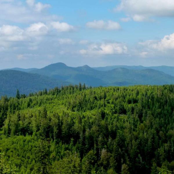 Rundwanderung B15 : Vom  Mutzig Fels zu den 2 Donons