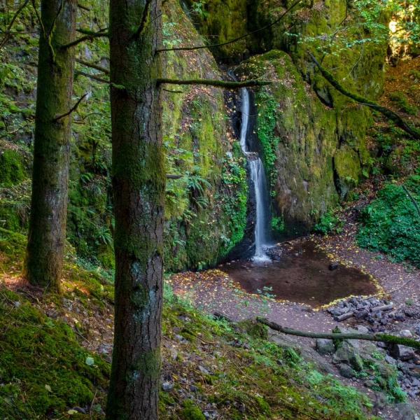 Rundwanderung B16 : Der Wasserfall von Soultzbach