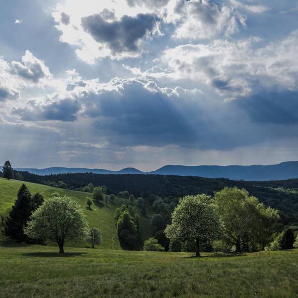 Rundwanderung H14 : Oberes BrucheTal