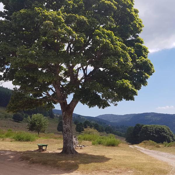 Outdoor Kinderwagen Rundweg C02:Tour um La Perheux