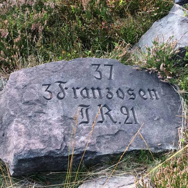 Rundwanderung D06 : Der Petit Donon, ein Gräberfeld des ersten Weltkriegs