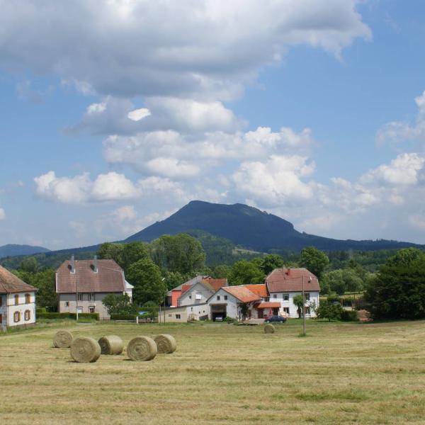 Schnitzejagd : Saâles