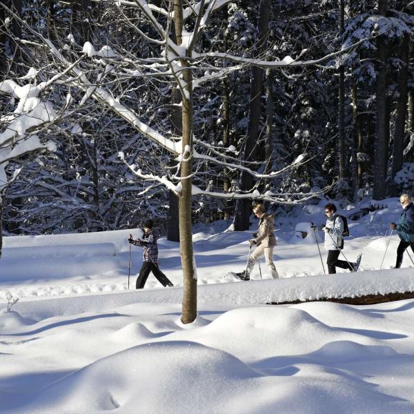 Schneeschuh Wanderparcours CDF02 : Zum den Haut des Monts