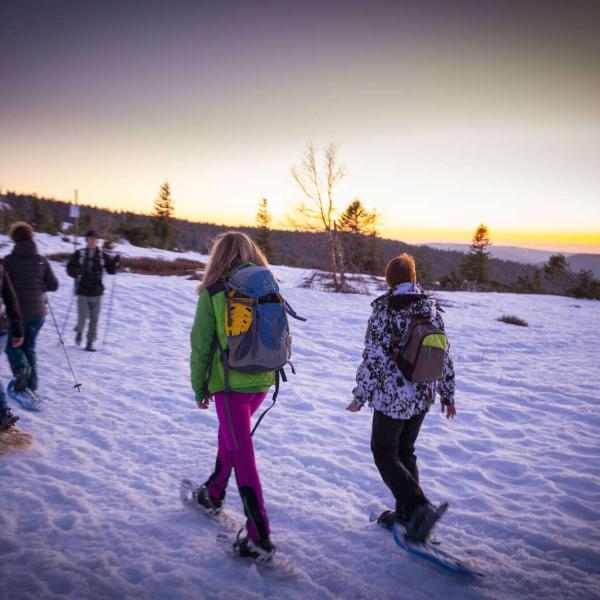 Schneeschuh Wanderparcours CDF03 : Vom Struthof bis zum Champ du Messin