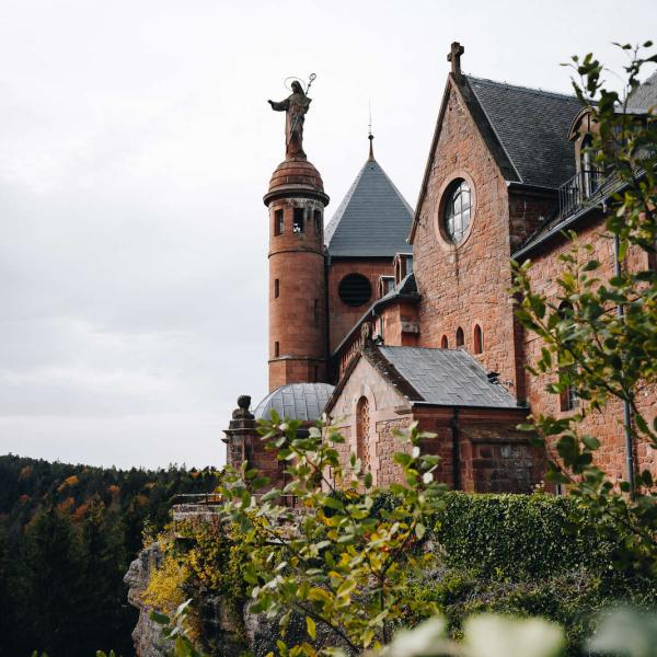 Rundwanderung CDF09 : Auf Entdeckungstour auf dem Mont Sainte Odile