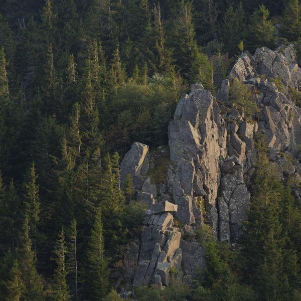 Rundwanderung B18 : Vom piton du Falkenstein zum Hohbuhl