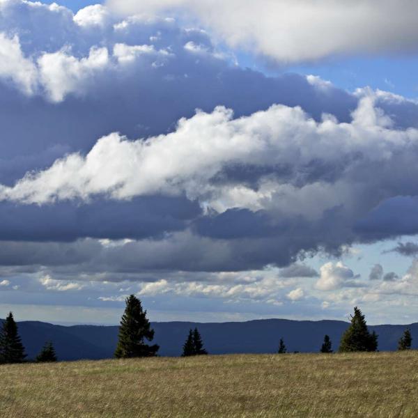 Rundwanderung D08 : Vom Donon zum chaume de Requival