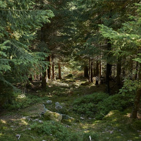 Rundwanderung H16 : Vom Palais Zum rocher des Enfants