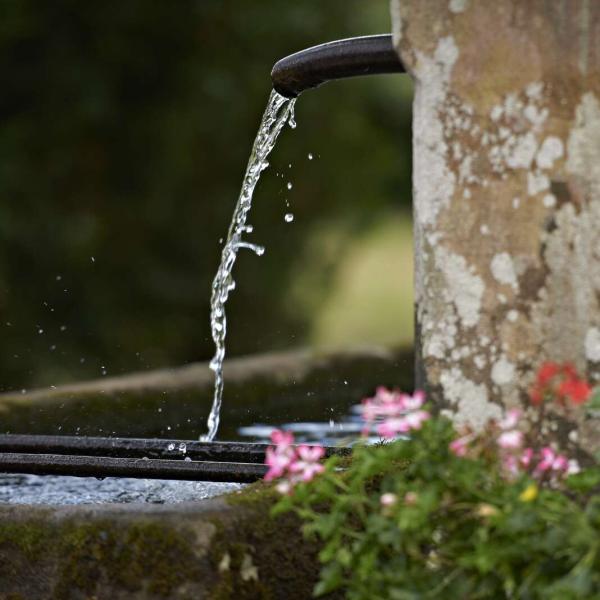 Rundwanderung H17 : Die Brunnen von Saales