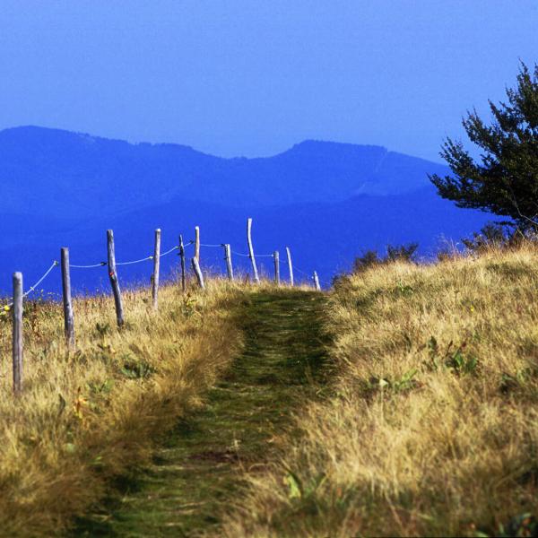 Rundwanderung D10 : Ab Col de Prayé