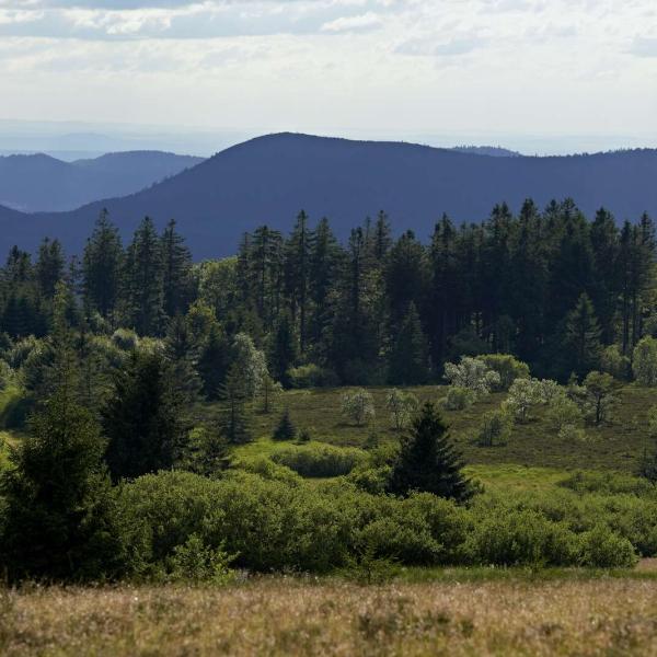 Rundwanderung C32: Die Schlösser rund um das Bruche-Tal