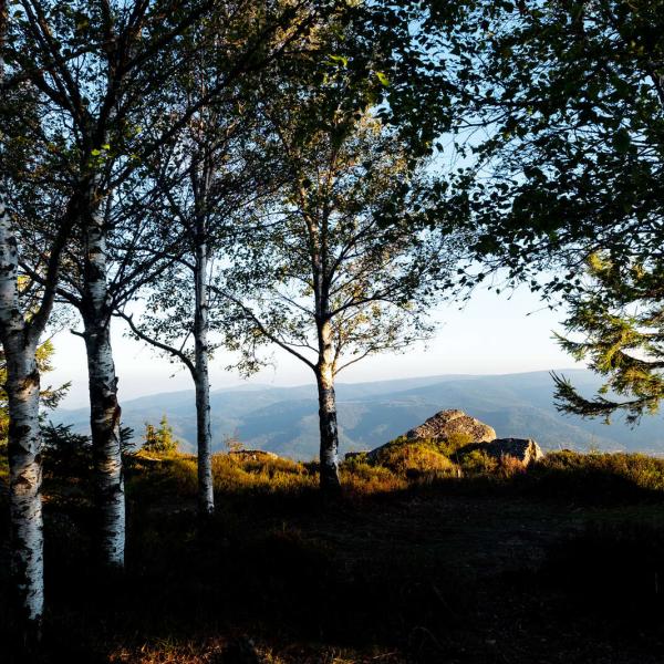 Rundwanderung B22: Der Kamm des Donon zum Rocher de Mutzig