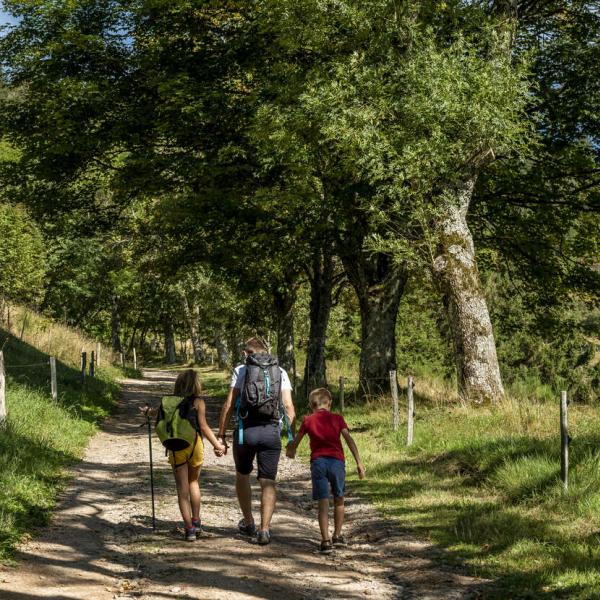 Kinderwagen Rundweg B01: Von Lutzelhouse zum Place des Musiciens