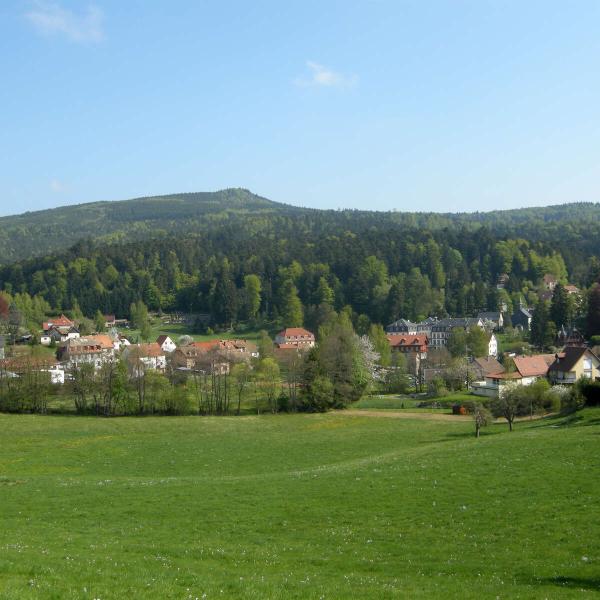 Kinderwagen Rundweg CDF01: Das chaume des veaux