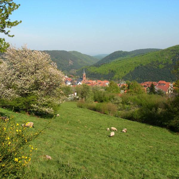 Kinderwagen Rundweg B02 : Auf den Höhen von Grendelbruch