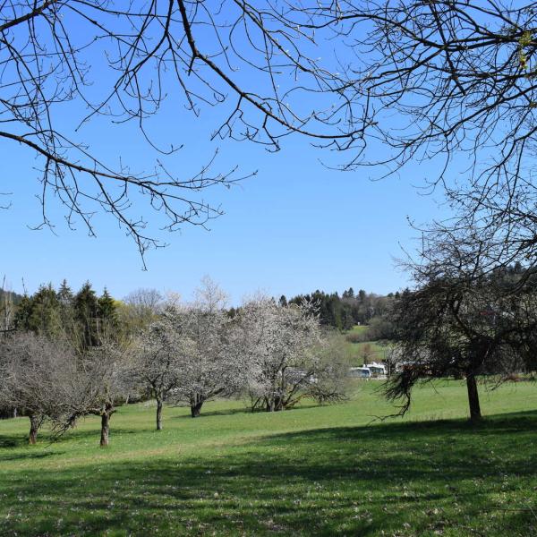 Outdoor Kinderwagen Rundweg B01: Von Grendelbruch zum Hohbuhl