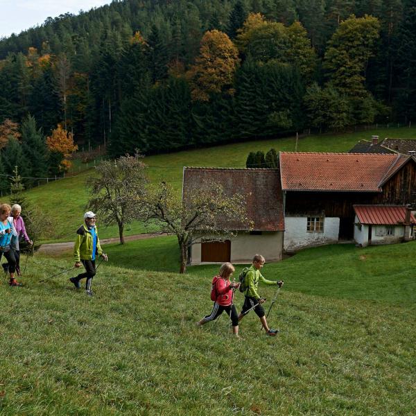 Colbéry Nordic Walking Tour: zum Waldweg von St. Oury