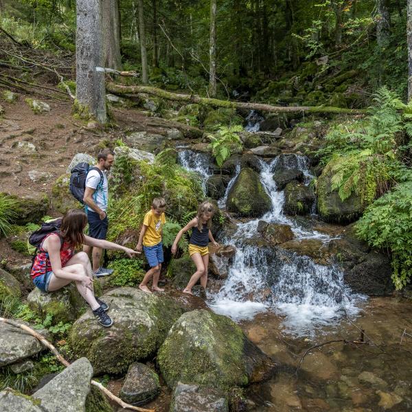 Rundwanderung C38 : Rund um die Wasserfälle