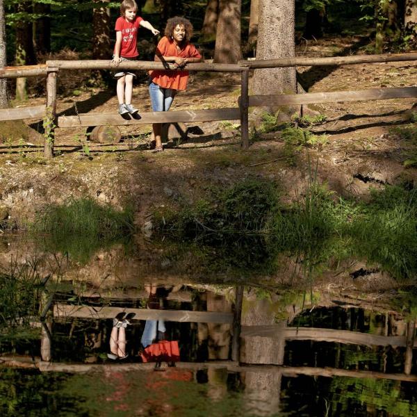 Rundwanderung C35 : Die Teiche von Salm und die untere Madeleine