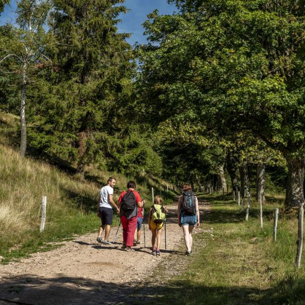 Schneeschuh Wanderparcours B02 : Rund-um-den-Hohbuhl-vom-Bruchberg-Pass-Langrundweg