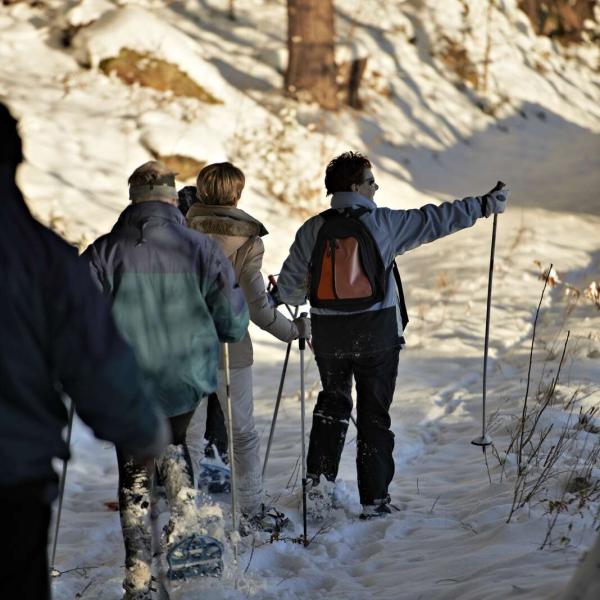 Schneeschuh Wanderparcours D01 : Rund um den Donon