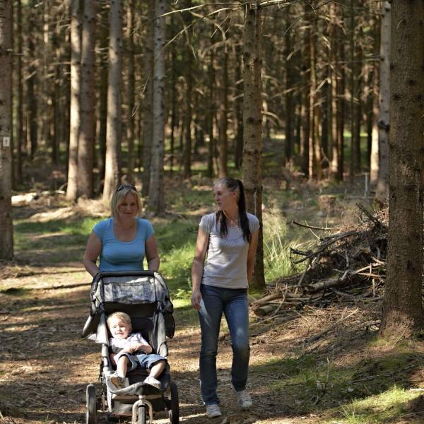 Outdoor Kinderwagen Rundweg CDF01 : Von Bellefosse zum Aussichtspunkt Boucherie