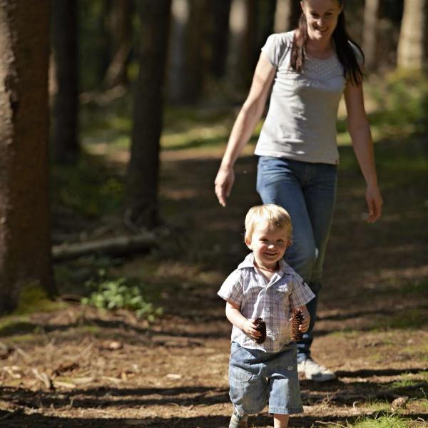 Outdoor Kinderwagen Rundweg CDF02 : Von Rothlach nach Neuntelstein