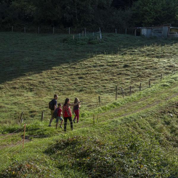 Outdoor Kinderwagen Rundweg C07 : Von unten nach oben Sommerhof