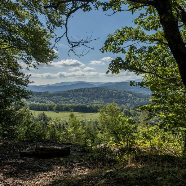Kinderwagen Rundweg D01 : Von der Donon-Plattform zur Roger-Laederich-Hütte