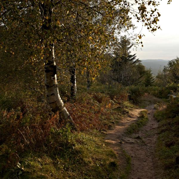 Kinderwagen Rundweg D02 : Die Bergbautour