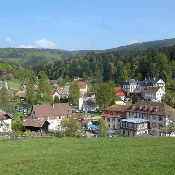 Kinderwagen-Rundweg CDF02: Rund um Hohwald