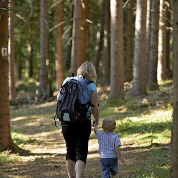 Kinderwagenstrecke H06: Von Saulxures nach Bourg-Bruche
