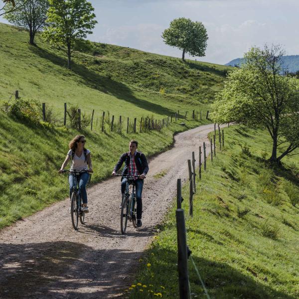Radtour C27 : Von Schirmeck nach Wangenbourg über den Donon und das Haslach-Tal